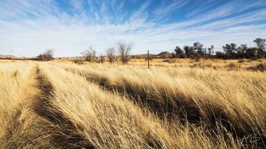 Farm life #freestate #orangeriver