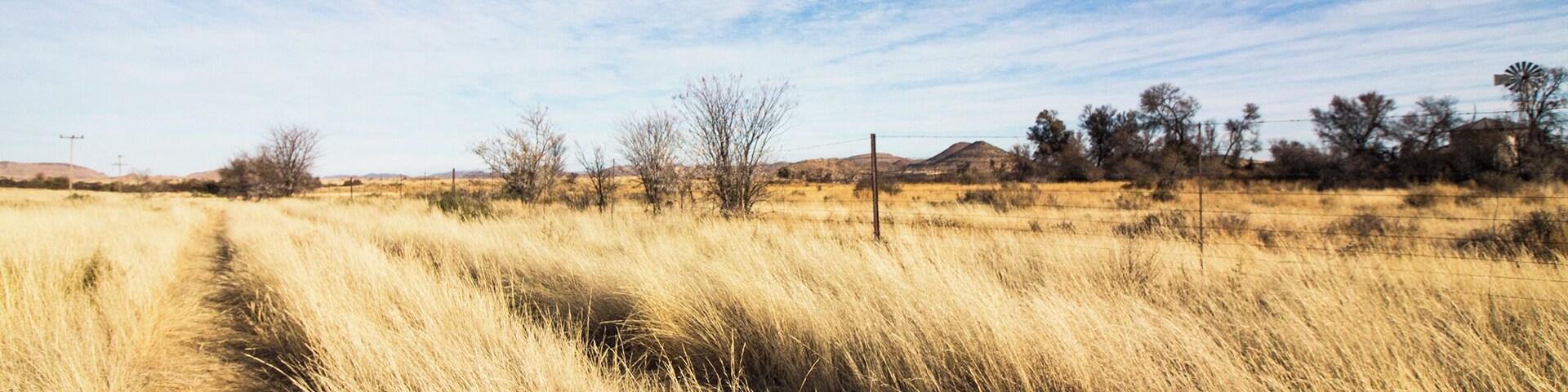 Farm life #freestate #orangeriver