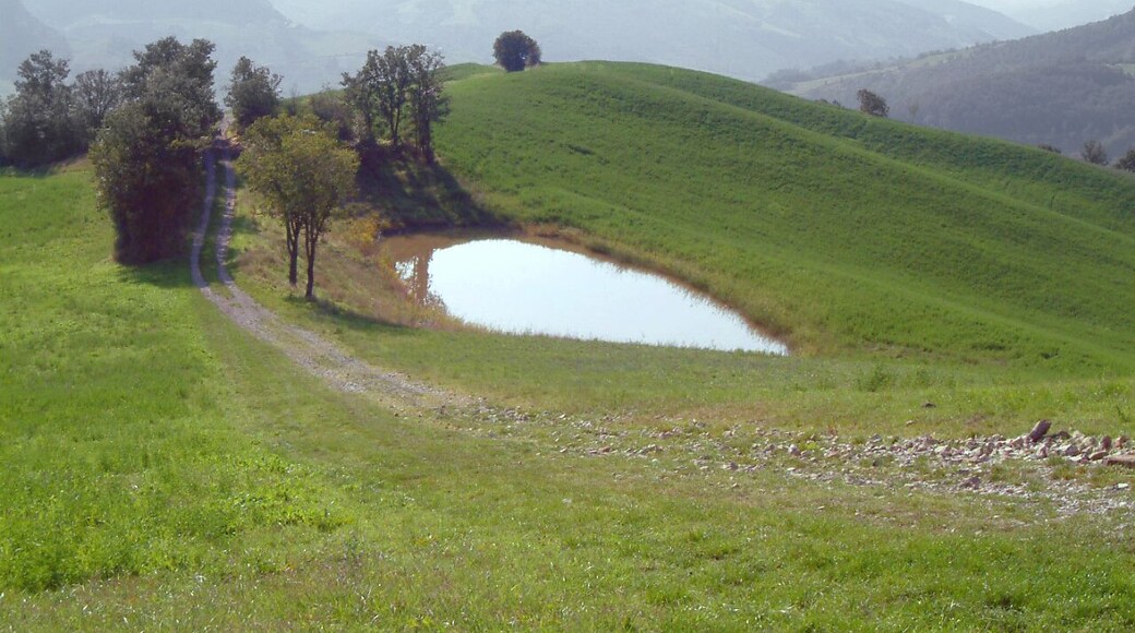 Colline sopra Casona di Marano sul Panaro