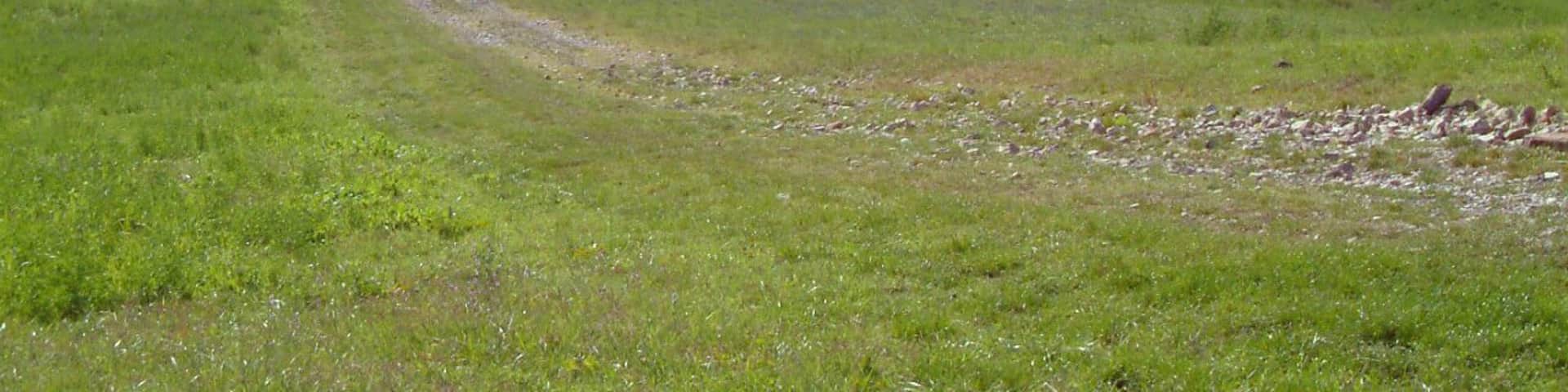Colline sopra Casona di Marano sul Panaro