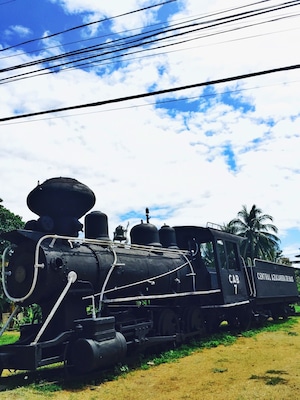 sugar train!!
