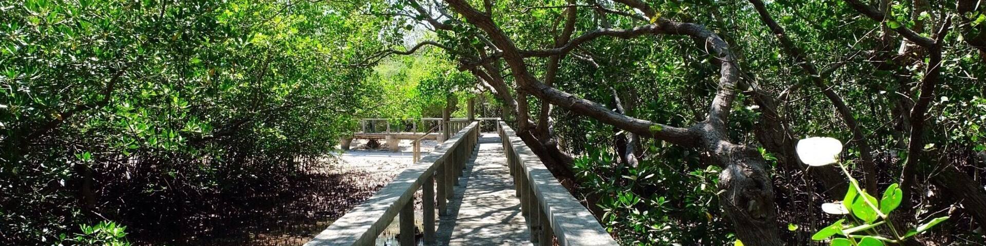 Talabong Mangrove Park walkway in Bais City which extends towards the sea. #natureporn