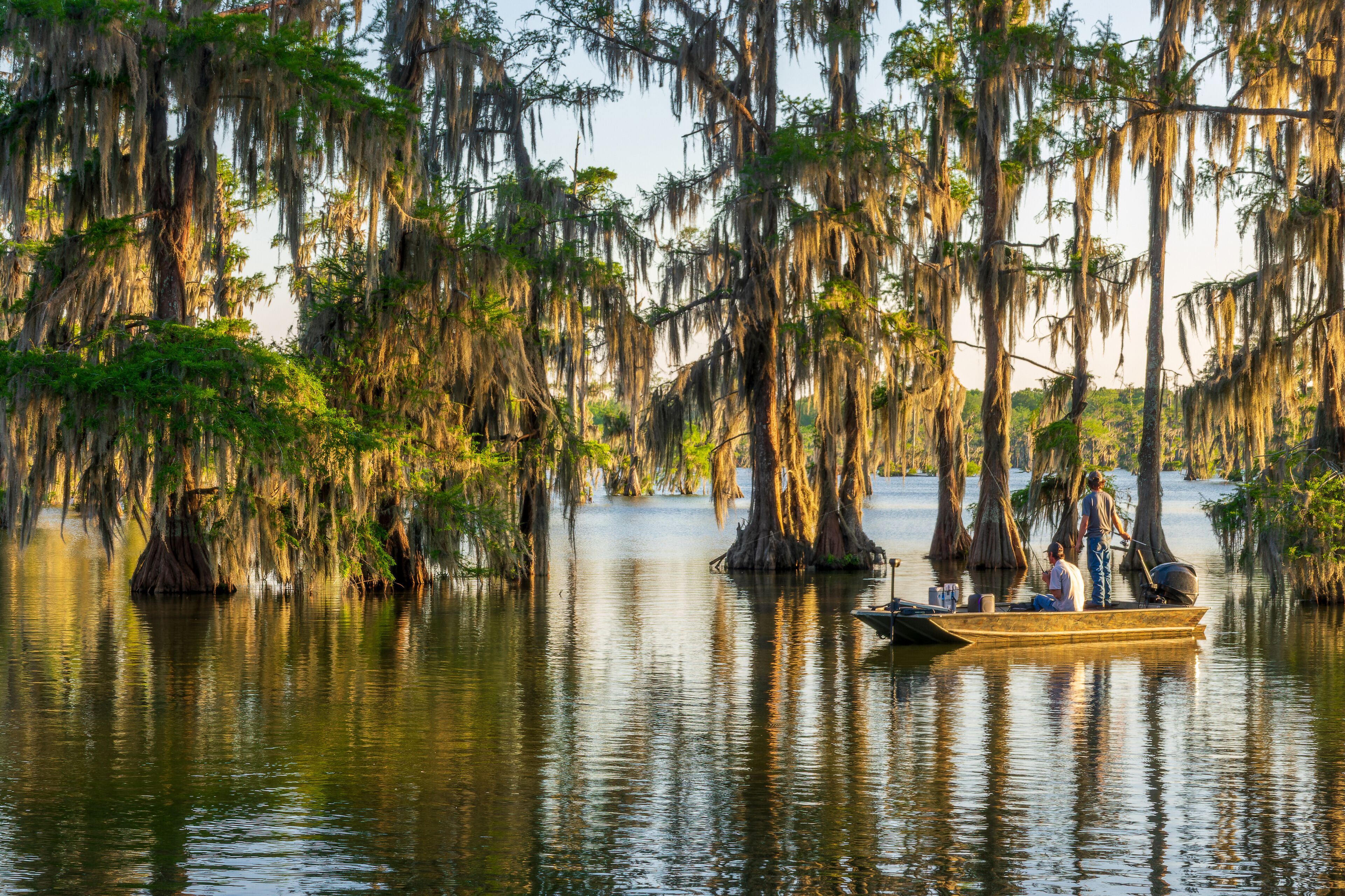 A calm water body with trees covered in Spanish moss, a wooden boat with people, and a clear sky.