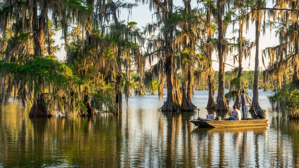 A calm water body with trees covered in Spanish moss, a wooden boat with people, and a clear sky.