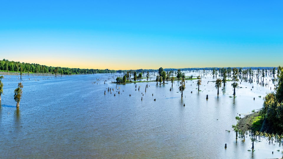 Lake Bigeaux under blue skies and white clouds in Louisiana