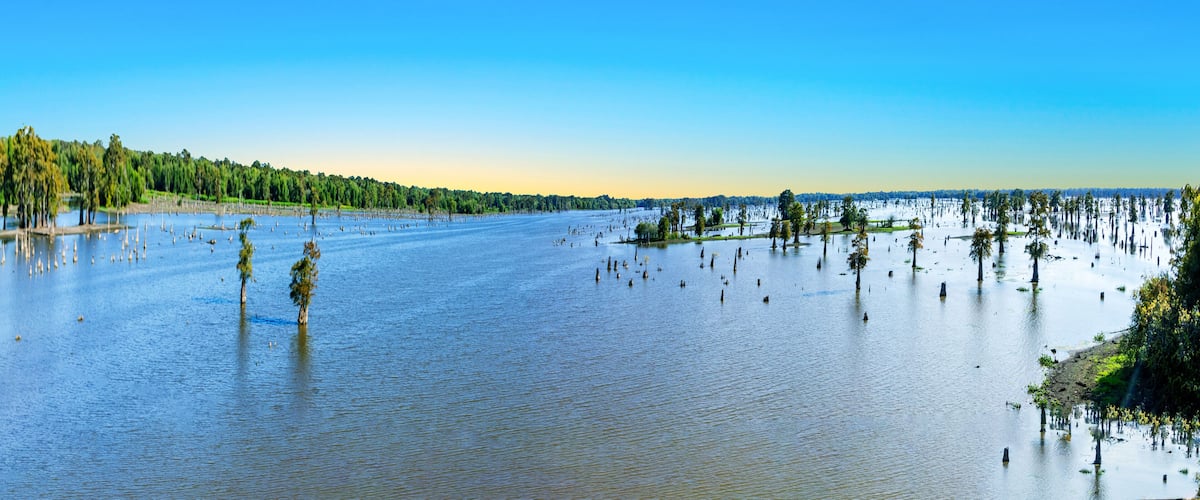A flooded landscape with trees standing in water.