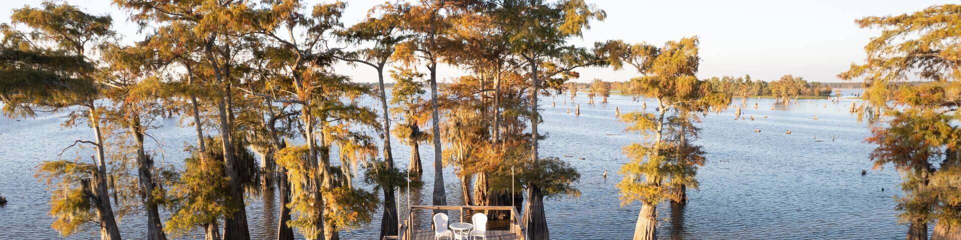 A houseboat surrounded by cypress trees in a swampy area.