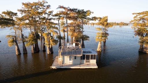 A houseboat surrounded by cypress trees in a swampy area.