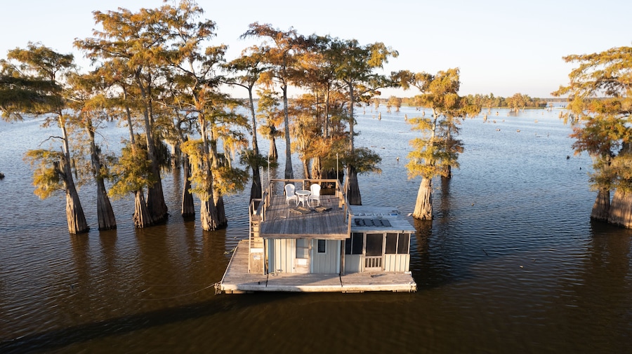 Una casa flotante rodeada de cipreses en una zona pantanosa.