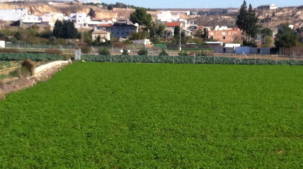 Mota del Rio Entre Molina y Ribera de Molina