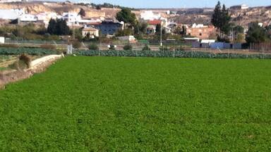 Mota del Rio Entre Molina y Ribera de Molina