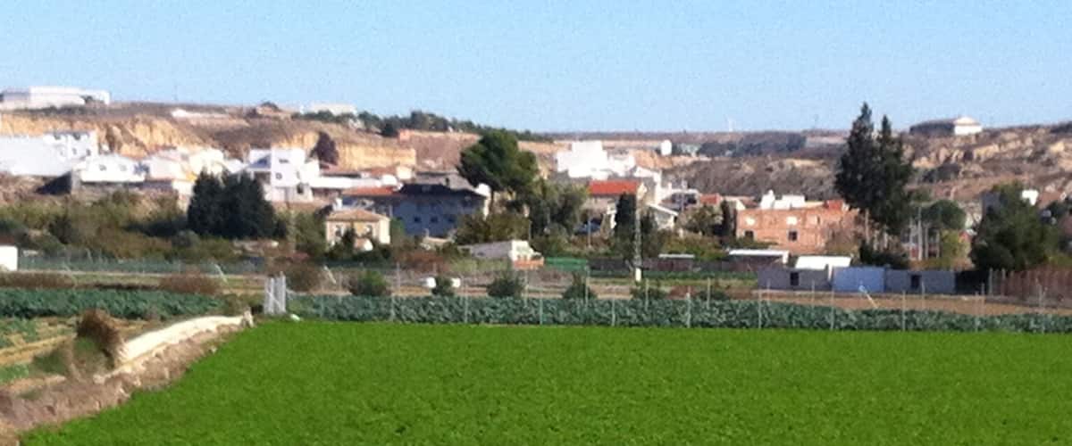 A green field with a rural landscape in the background, including houses and a hill.