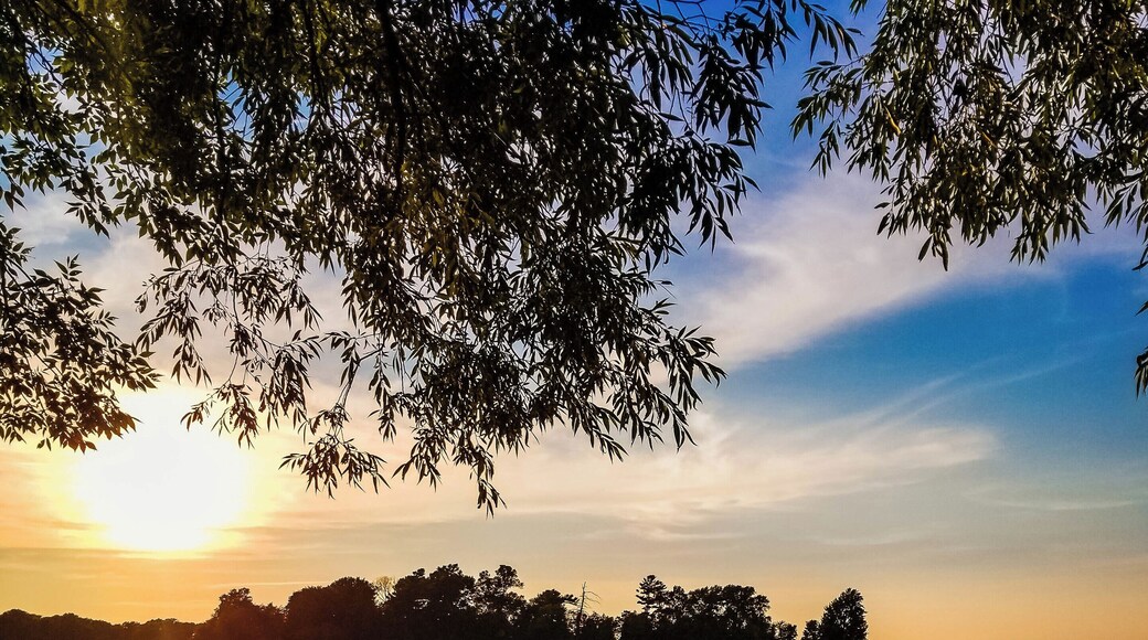 A nice way to unwind with the family after a full day of activities @fernresort Ontario - the boat + water ski show while soaking in the glorious sunsets in Ontario's Cottage Country #familytravel #discoverON