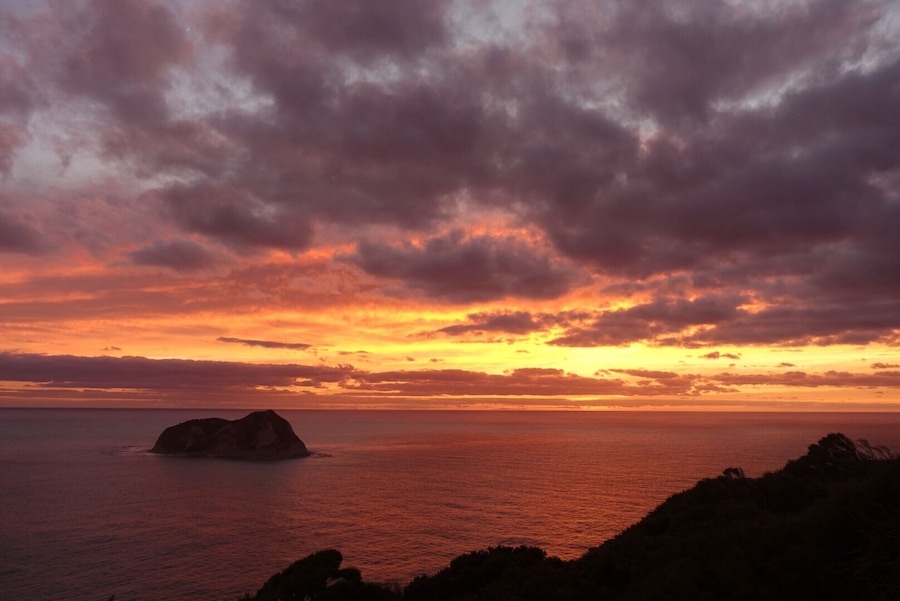 First world's sunrise. A must do in the north island!