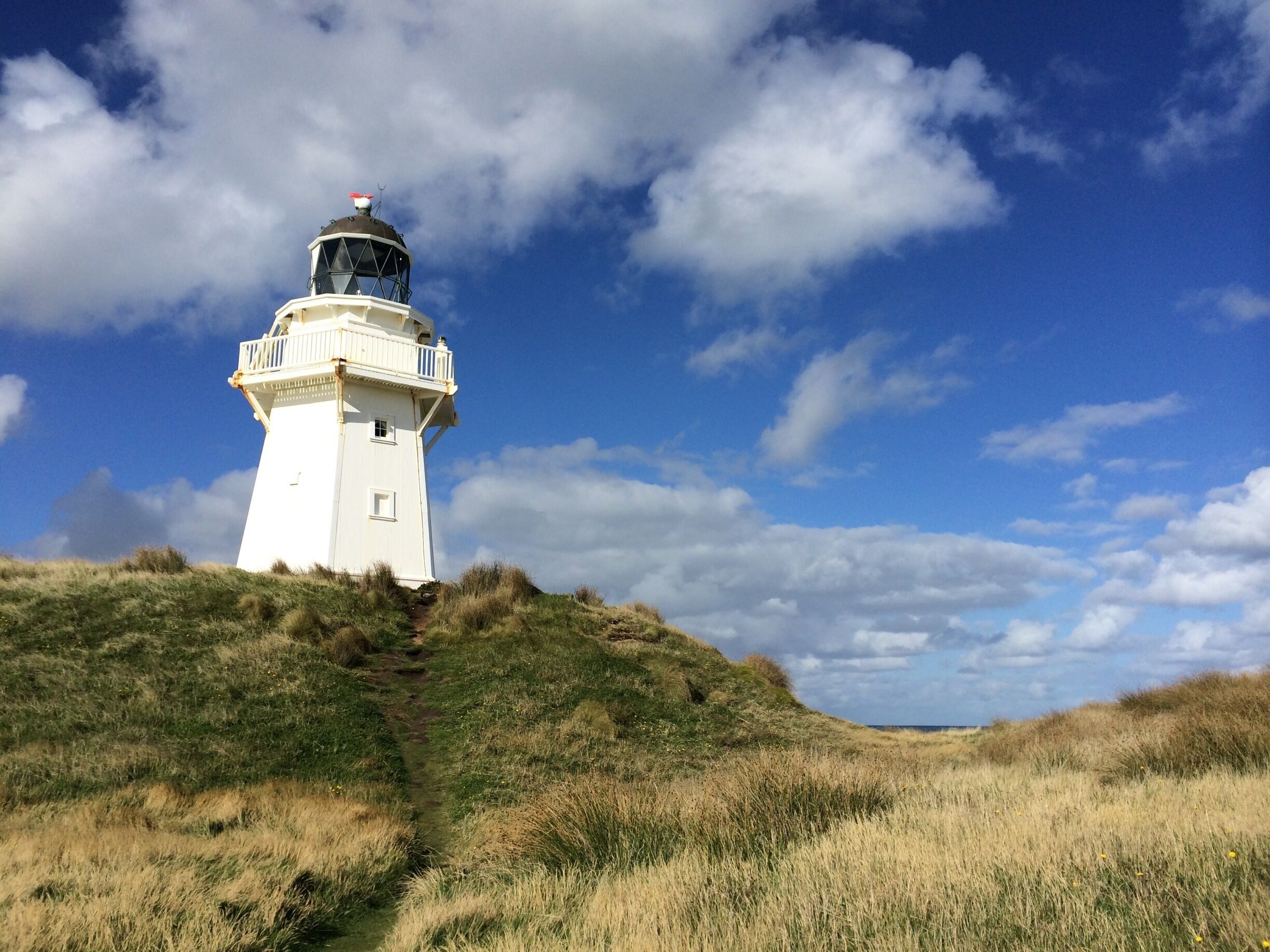 Waipapa Point 
