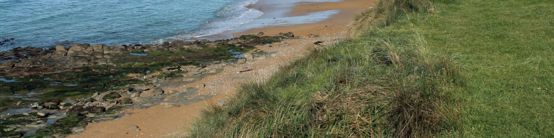 You can reach Waipapa point by following the dirt road to the end. It's a beautiful place with a lighthouse. The Hooker sea lions are chilling on the beach. There is quite a big parking lot with toilets, but otherwise no facilities.