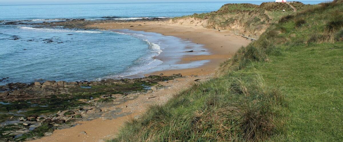 A coastal landscape with a lighthouse on a grassy cliff overlooking the sea.