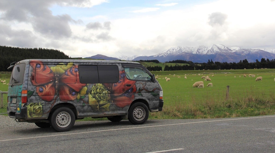 0_ec7ce3d8-4025-4ce6-b2ad-4bcdf8c1ac0b_raw