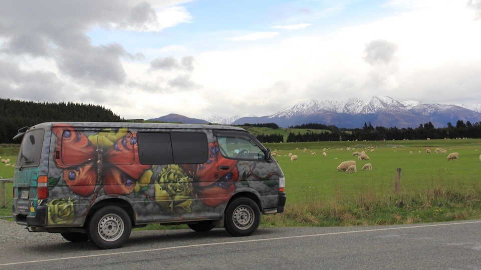 A colorful van parked on a road with a mountainous landscape and a field of sheep in the background.