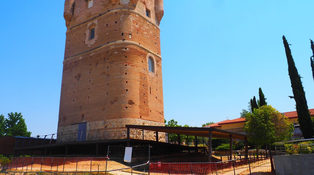 أرويومولينوس