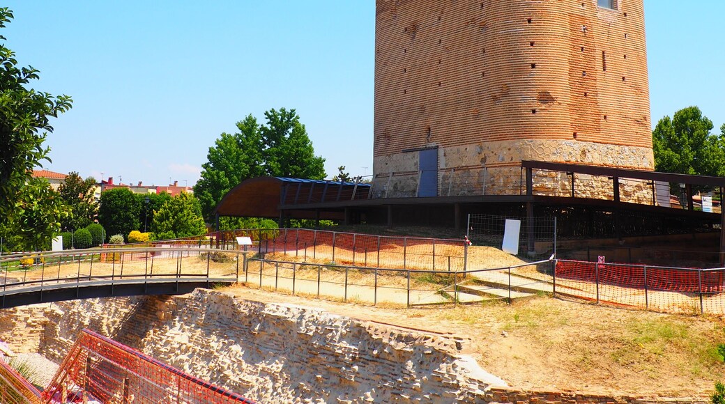 أرويومولينوس