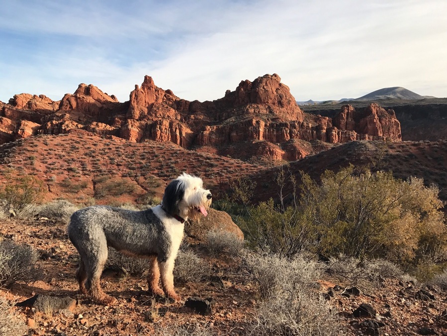 A beautiful off-road adventure!