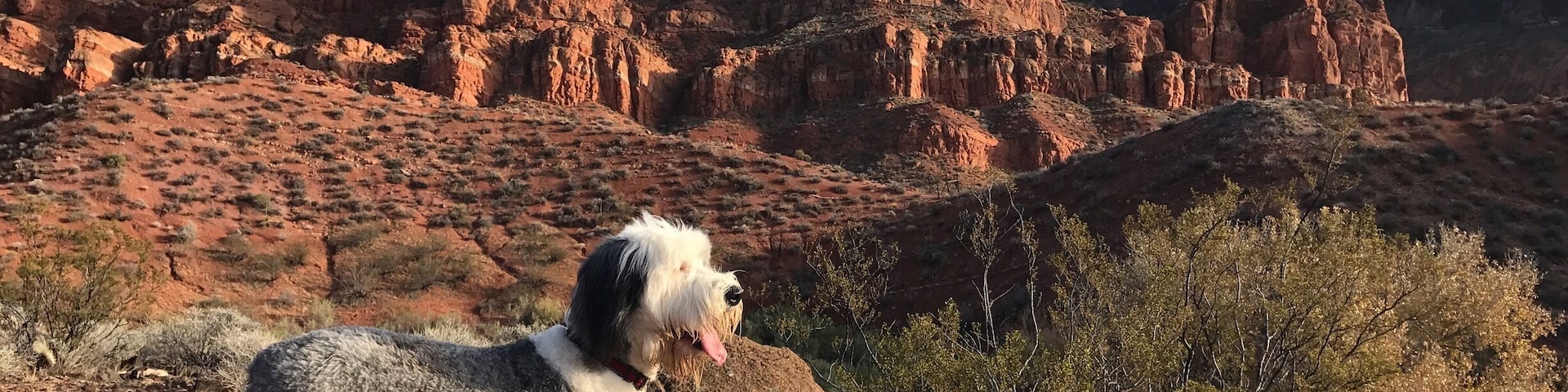 A beautiful off-road adventure!