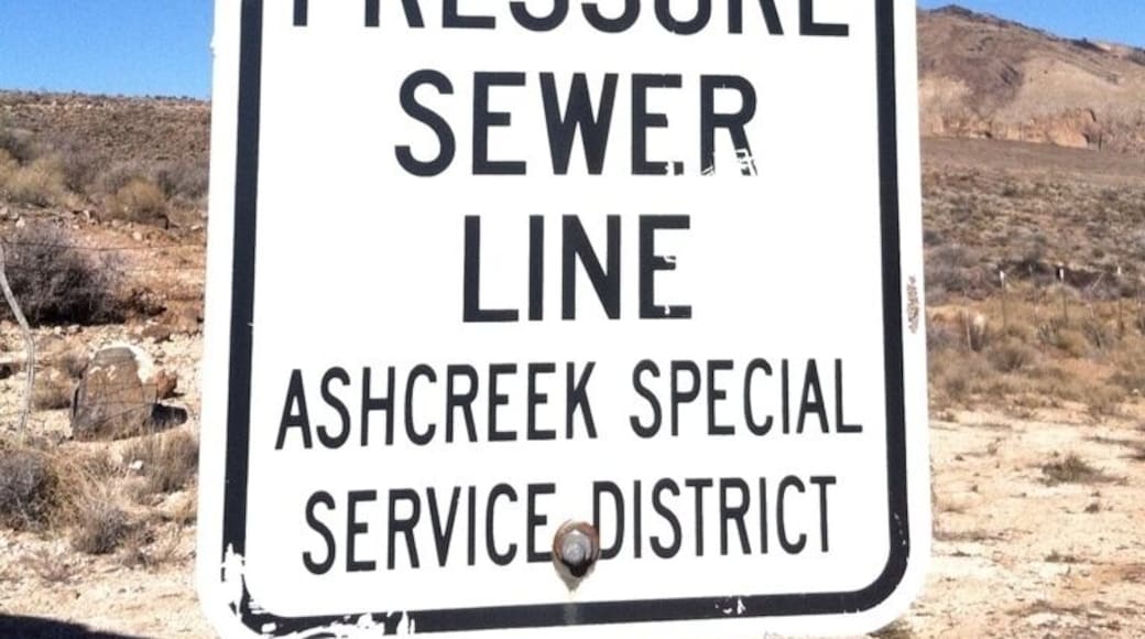 Great sign. It needs to be a t shirt