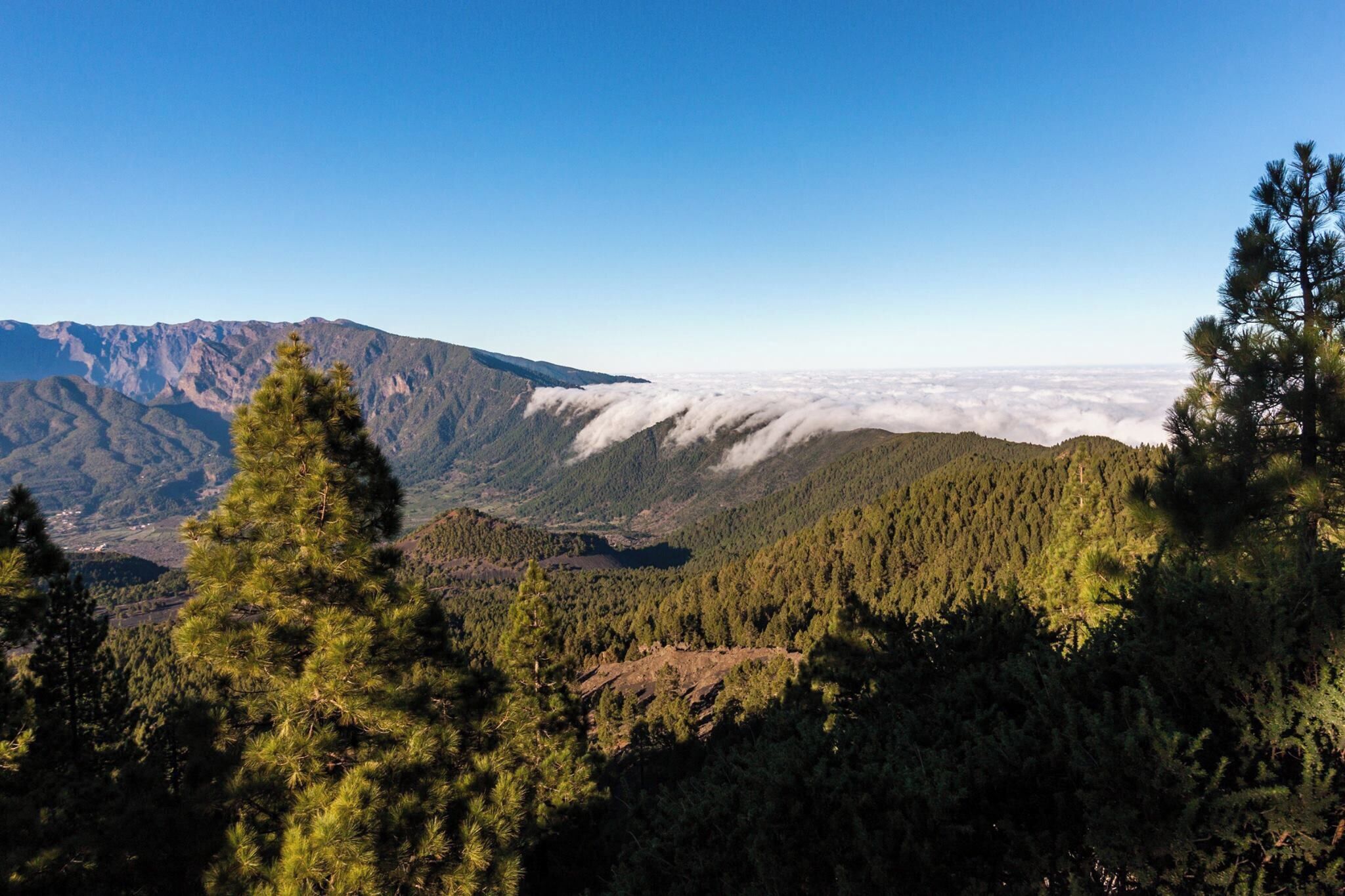 #LifeAtExpedia

Take the long hike from El Pilar to the lighthouse at Los Canarios, on La Palma Island. During the hike, you will see stunning volcanic scenery, from clouds flowing over the edge of the crater walls at Mirador de Birigoyo, to vines growing on volcanic soil, incredible sea views and moon-like desolate landscapes. A truly unforgettable hike!