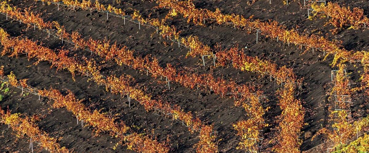 #LifeAtExpedia
Take the long hike from El Pilar to the lighthouse at Los Canarios, on La Palma Island. During the hike, you will see stunning volcanic scenery, from clouds flowing over the edge of the crater walls at Mirador de Birigoyo, to vines growing on volcanic soil, incredible sea views and moon-like desolate landscapes. A truly unforgettable hike!