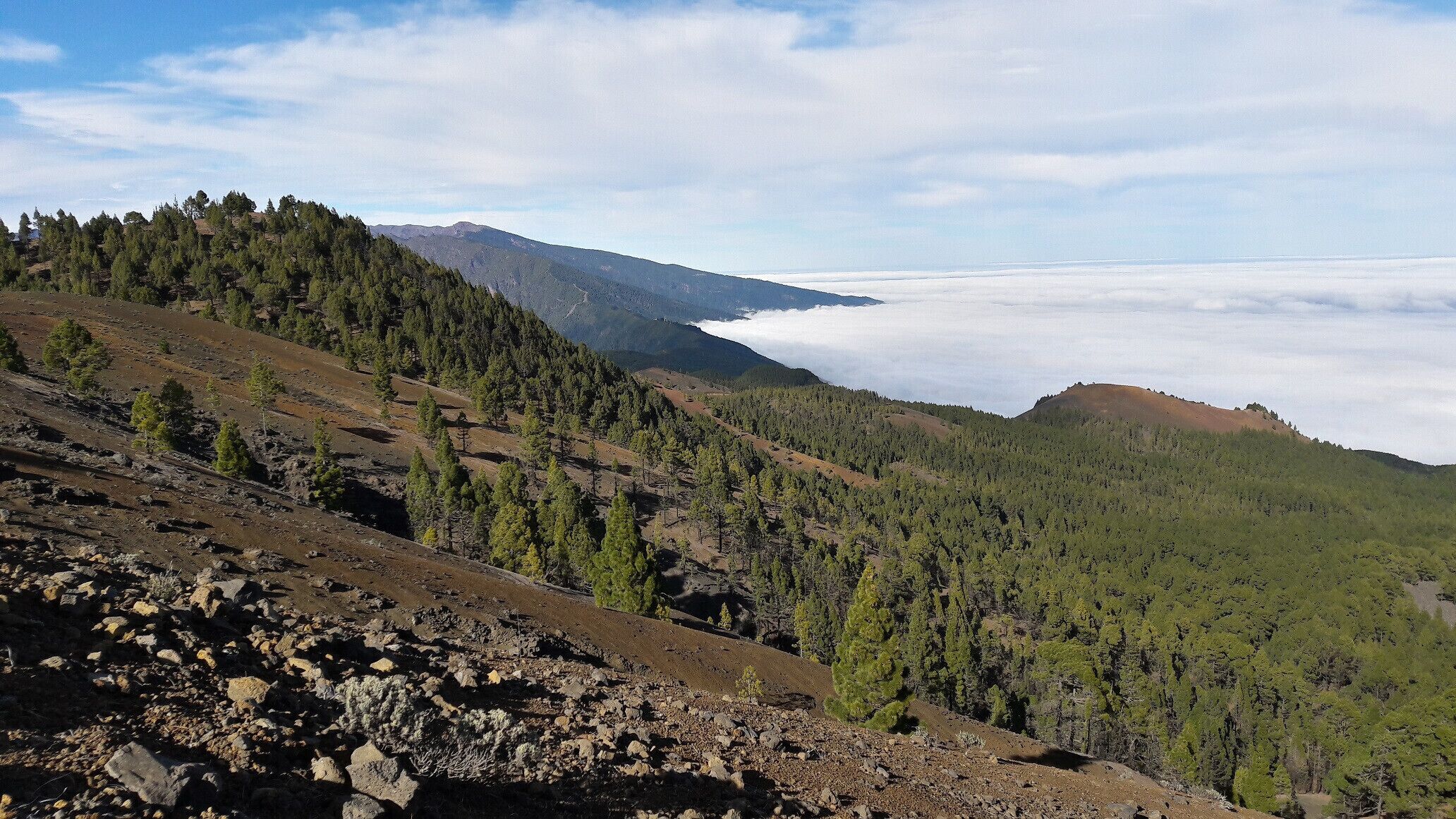 Auf der Ruta de los Volcanes - über den Wolken.

Walking above the clouds - Ruta de los Volcanes.
