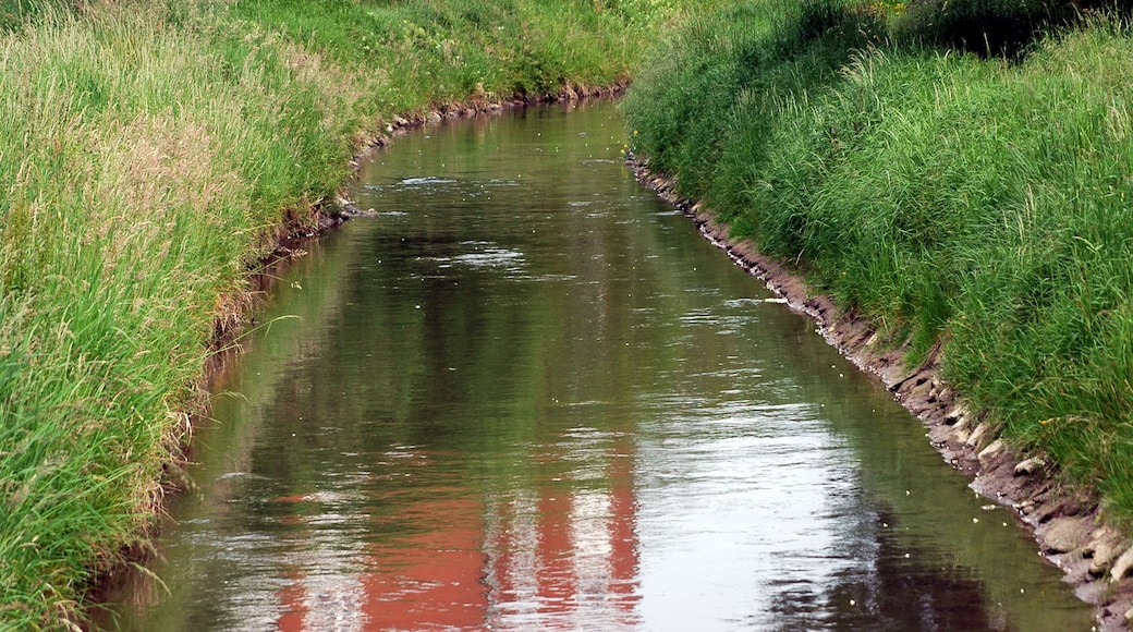 Leimbach in Nussloch