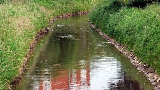 Leimbach in Nussloch