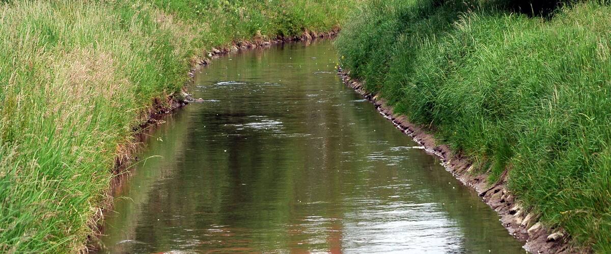 A narrow water channel bordered by green grass and a stone edge.