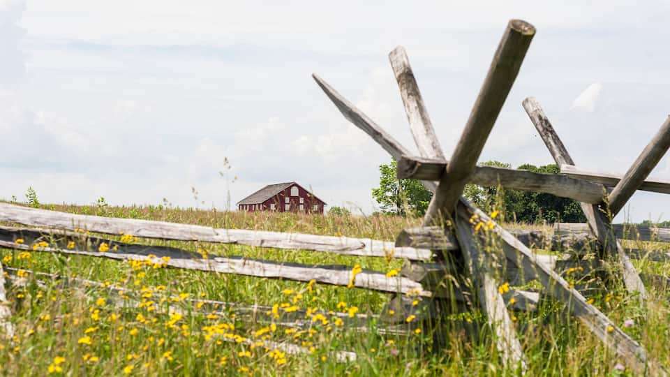 A rural landscape with a wooden fence, a red barn, and a field of yellow flowers.