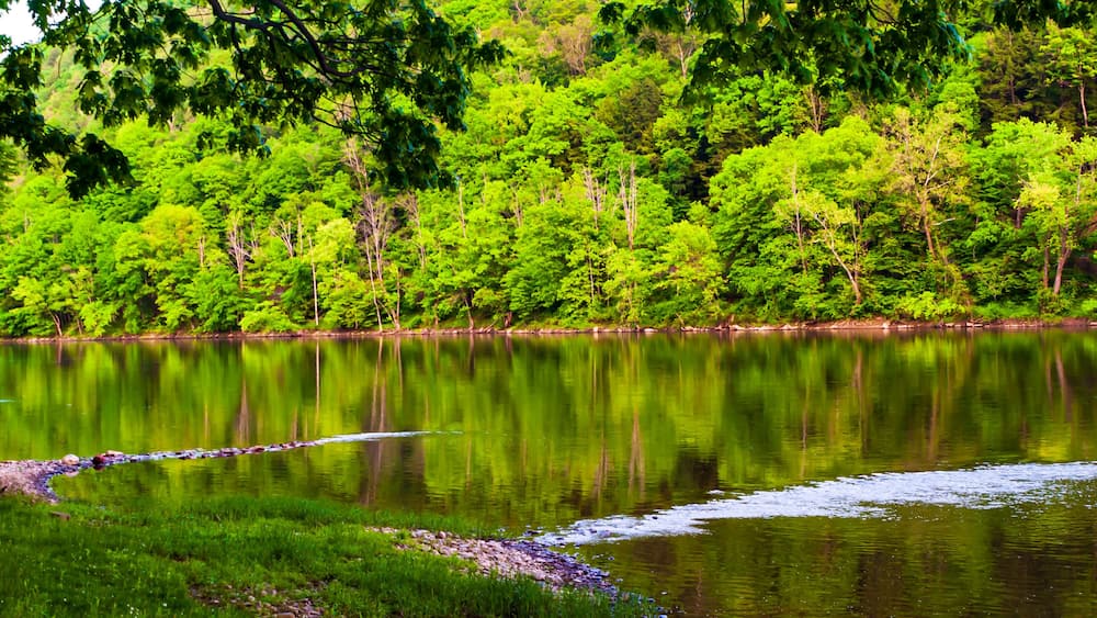 Rocks protruding into the Allegheny river in Althom, Pennsylvania, USA in the north west corner of the state with the far bank being part of the Allegheny National Forest