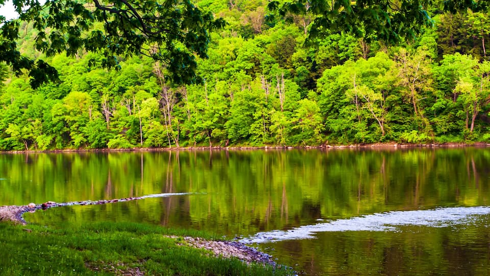 A calm lake surrounded by dense green trees.