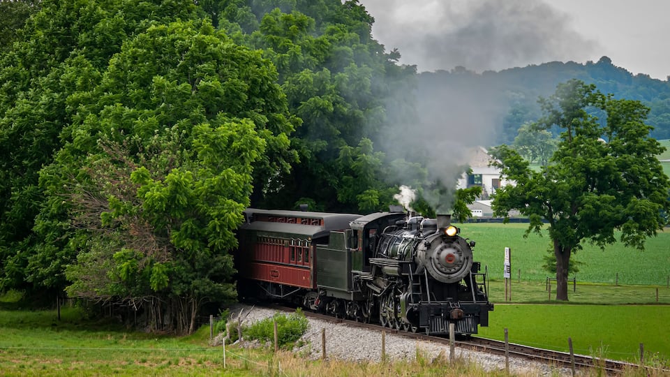 A steam locomotive with a red caboose on a rural railway track, surrounded by lush greenery and a cloudy sky.