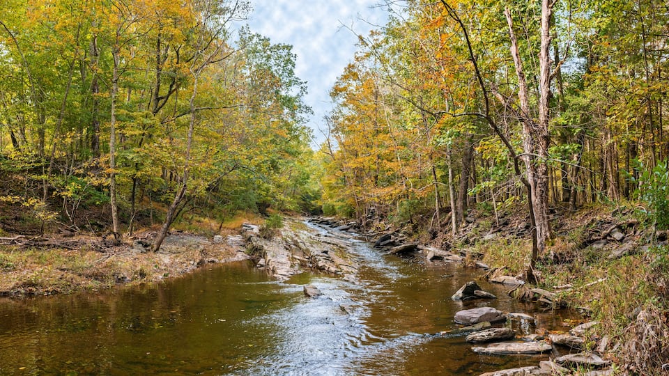 A river flowing through a forest with autumn-colored trees.