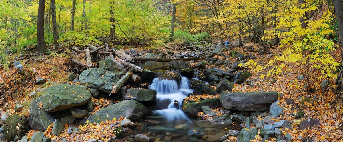 Une cascade dans une forêt, avec des feuilles d’automne et des rochers.
