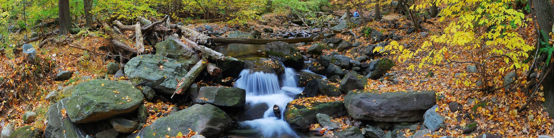 A waterfall in a forest with autumn leaves and rocks.