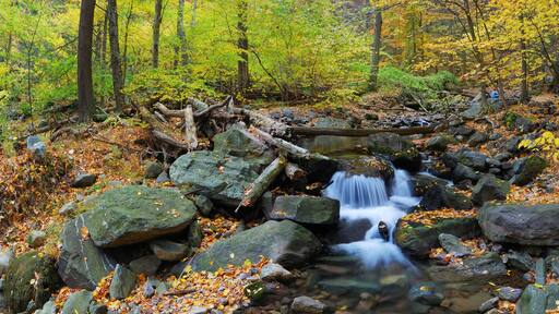 A waterfall in a forest with autumn leaves and rocks.