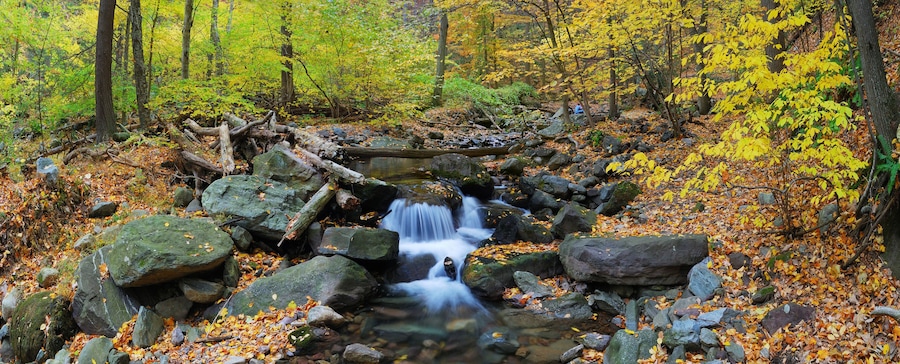 Una cascata in una foresta con foglie autunnali e rocce.