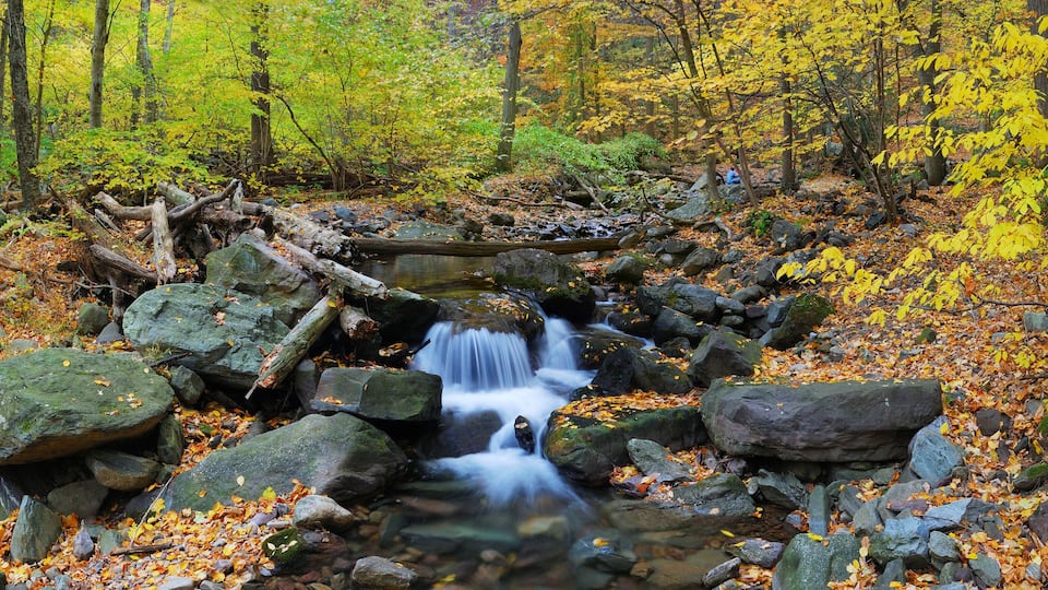 A waterfall in a forest with autumn leaves and rocks.