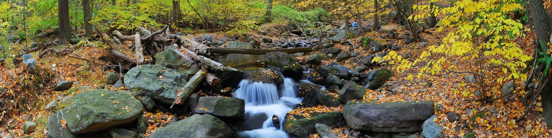 A waterfall in a forest with autumn leaves and rocks.