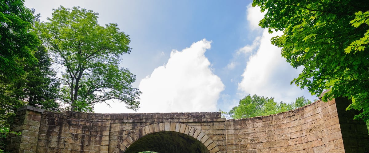 A stone arch bridge in a grassy area with trees and a clear sky.