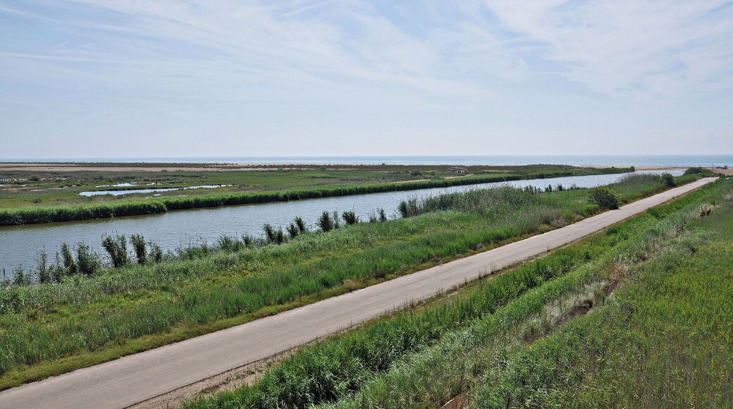 parque natural del delta-2011