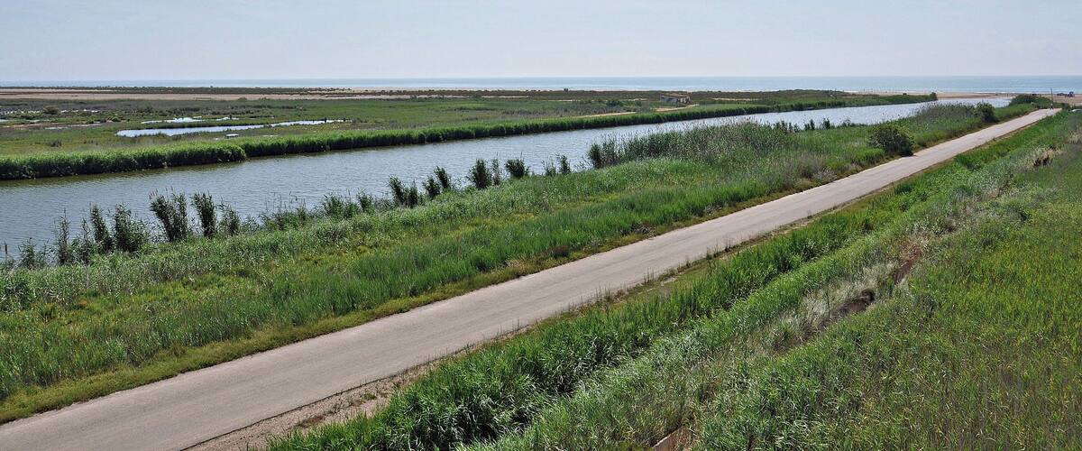 A river with a narrow road alongside it, surrounded by green fields and a clear sky.
