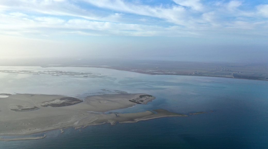 Parque natural del Delta del Ebro