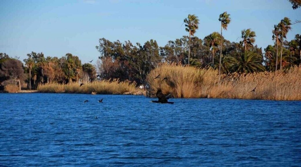 Parc Natural del Delta de l’Ebre is comprised of a range of different landscapes – mainly estuaries, beaches and wetlands – and it hosts a wide variety of wildlife, including more than 300 of the 500 different species of birds in Europe.
More about this place --> http://www.geekyexplorer.com/a-relaxing-getaway-from-barcelona/